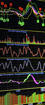 Portfolio Management | 